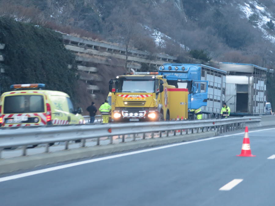 MAURIENNE Un camion de bestiaux se couche sur l’A43