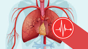 SAINT-FLORIS (62) / Un automobiliste décède après un accident avec un camion
