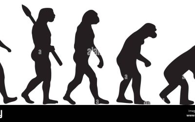 La hiérarchie en Humour, façon de parler …………………….